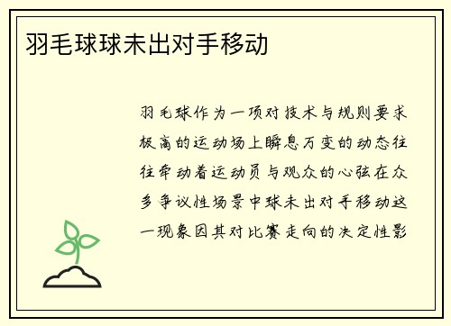 羽毛球球未出对手移动